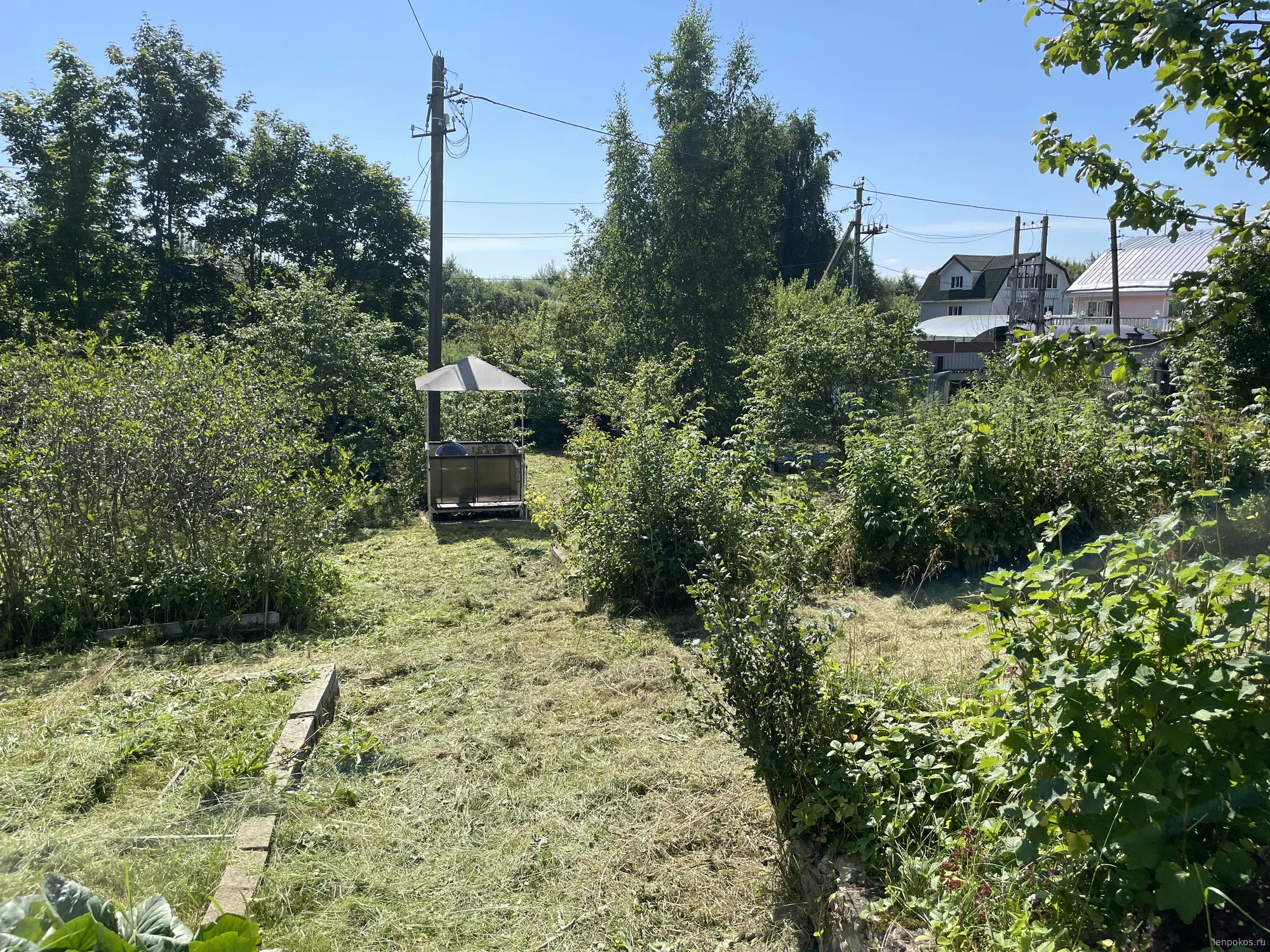 Покос травы на садовом участке | Покос высокой травы на садовом участке в ленинградской области | ЛЕНПОКОС