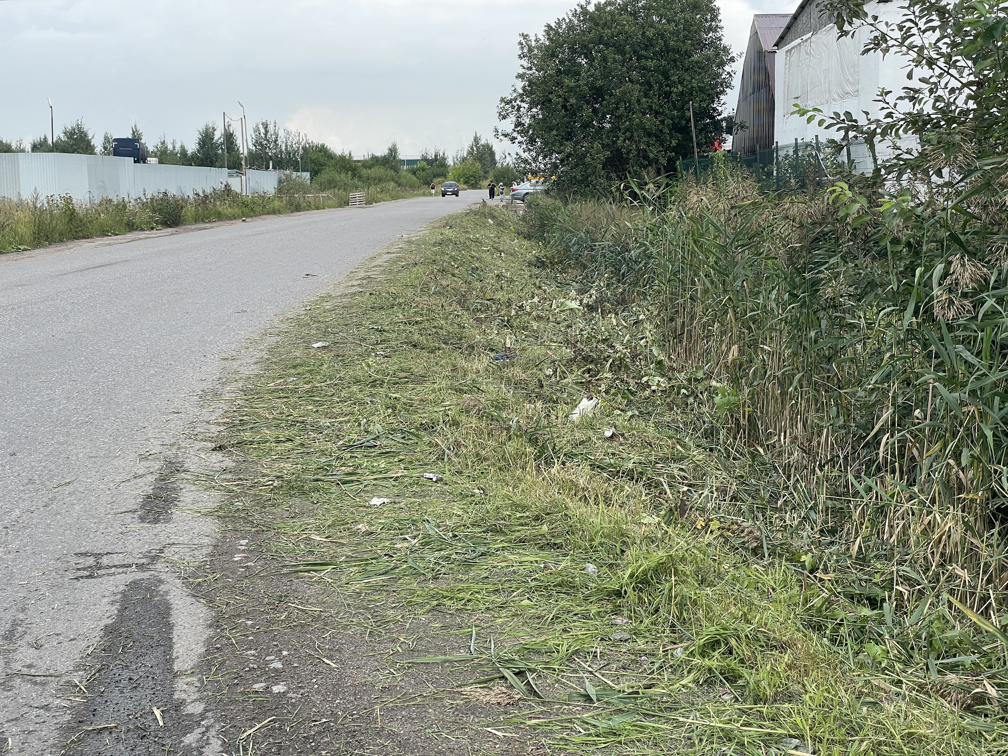 Покос травы на промышленных территориях | Покос травы на промышленной территории с наличием канав которые нуждались так-же ликвидации выросшего до небес камыша. | ЛЕНПОКОС