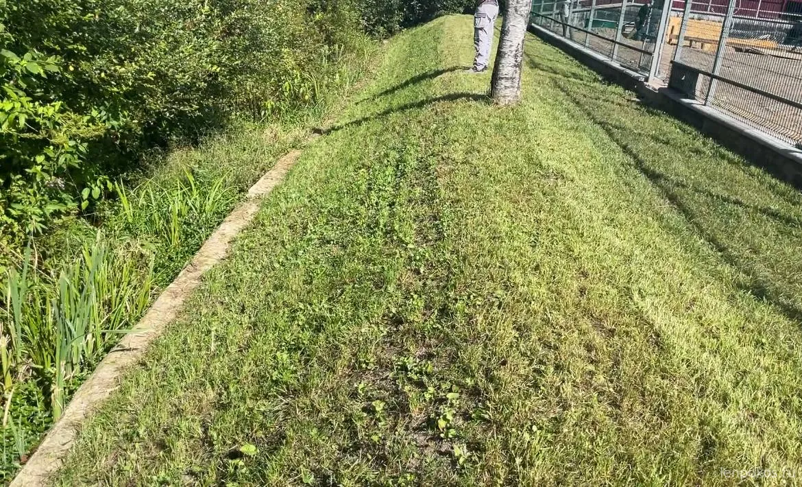 Стрижка газона на участке | Стрижка газона на садовом участке с крутым склоном более 25 градусов. | ЛЕНПОКОС