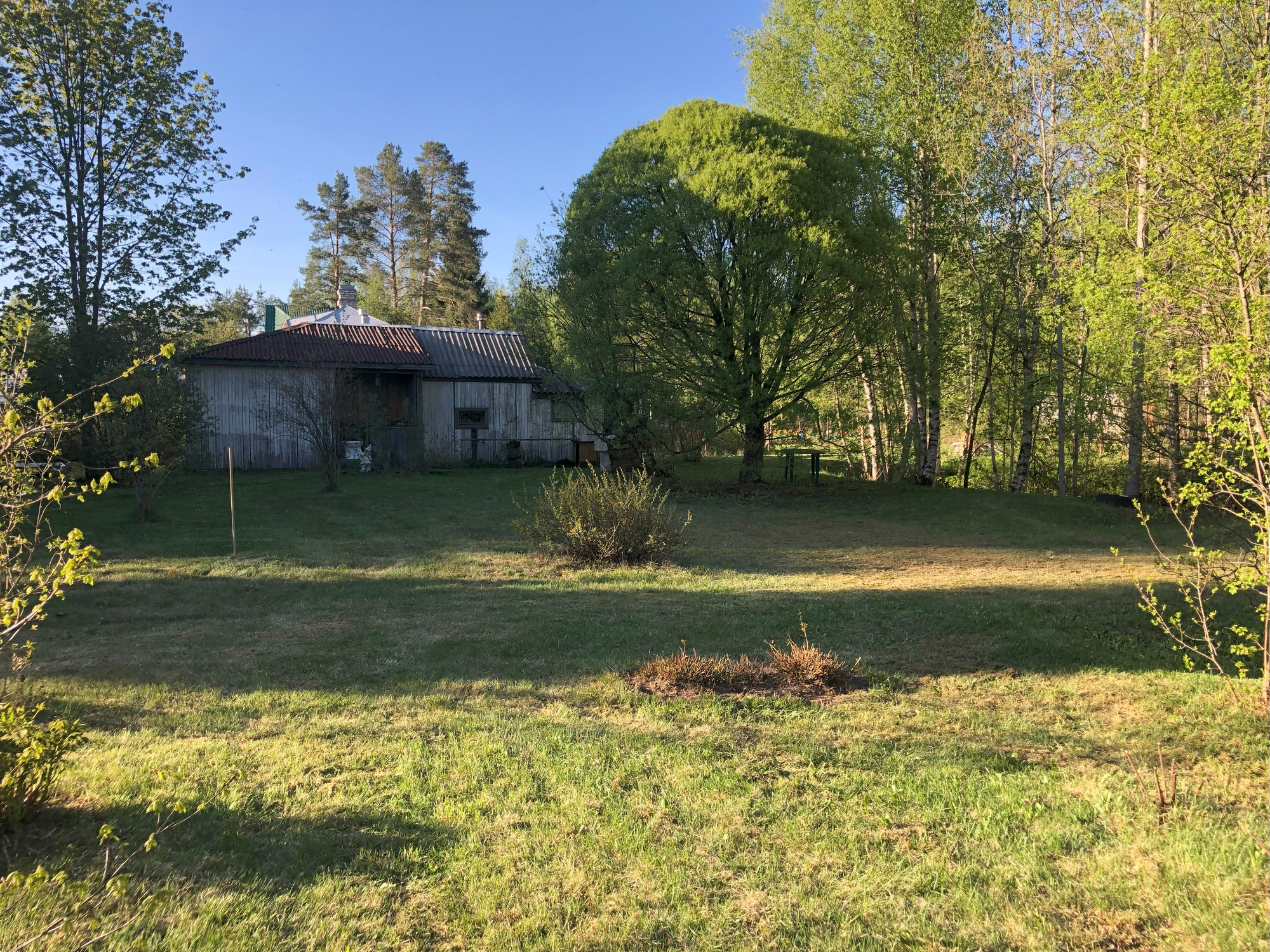 Стрижка газона на садовом участке | Выполнили комплекс работ по уходу за газоном на садовом участке, а именно: Стрижка газона, скарификация, аэрация почвы. Как всегда нами довольны =) | ЛЕНПОКОС